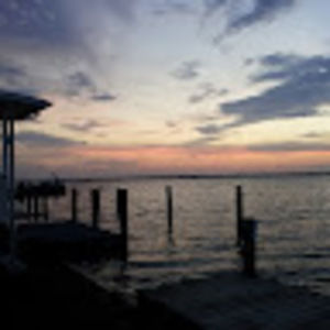 Meet your Posher, Wilamina